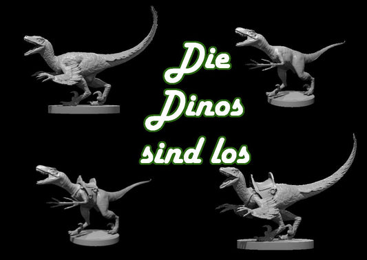 Neue Kategorie