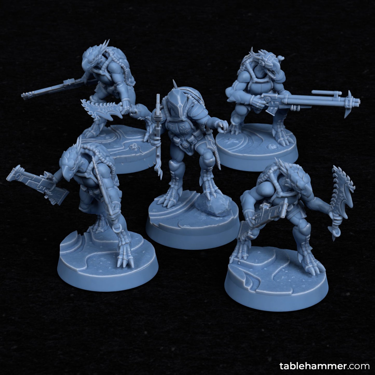 Toort Infantry ( 9 Miniaturen )