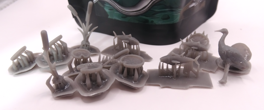 Aquatic Life Set