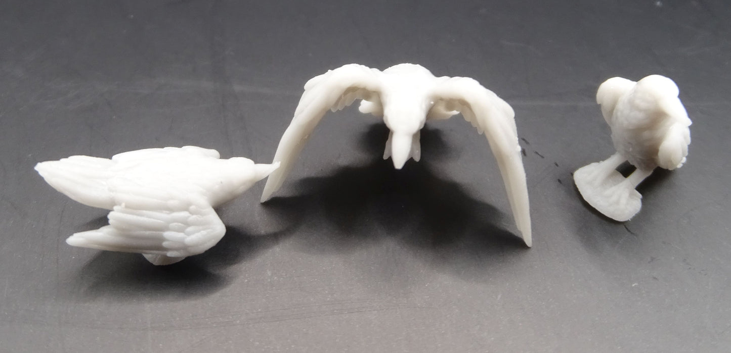 Raven ( 17 Pcs. )