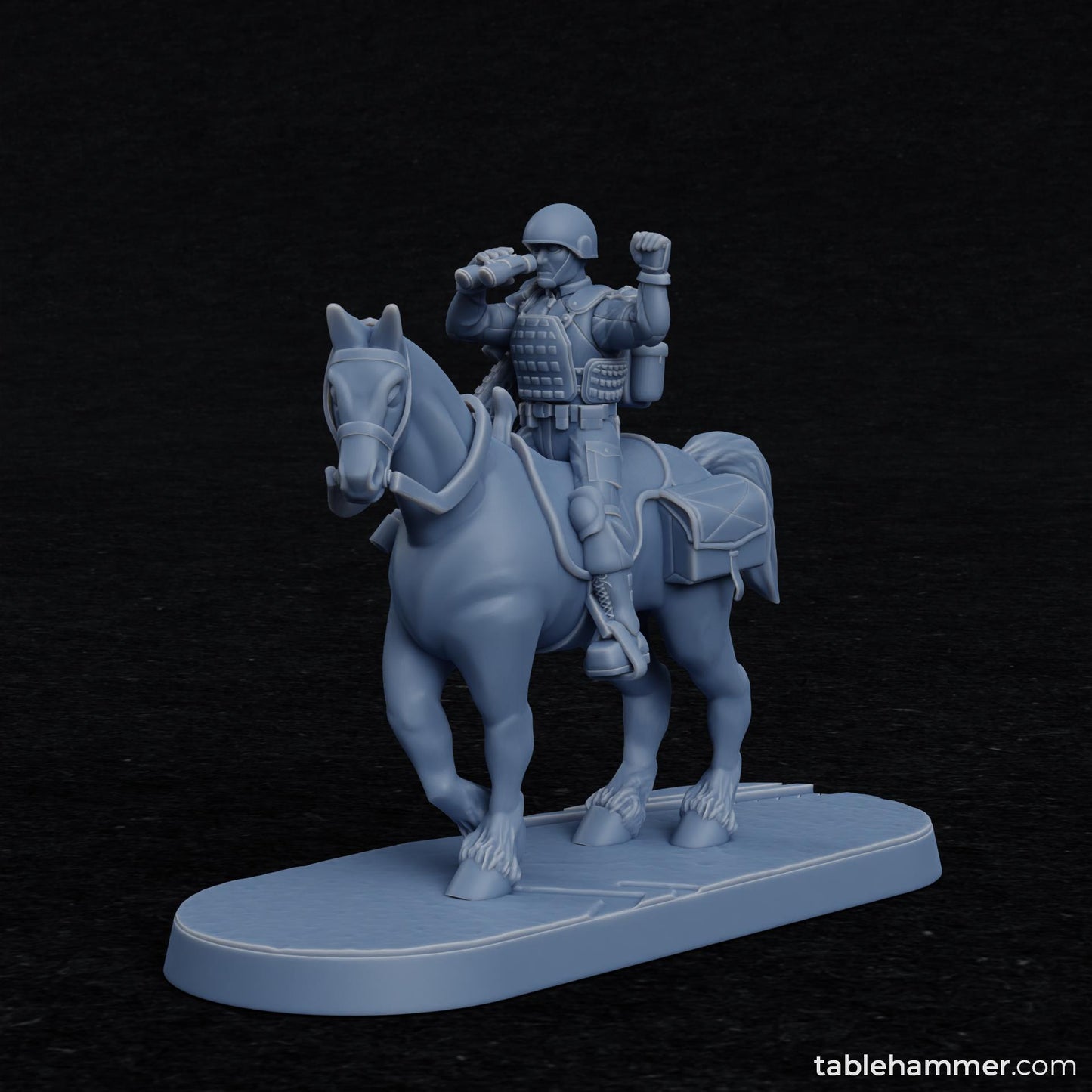 Horse Marines