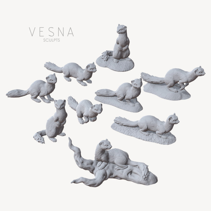 Wiesel