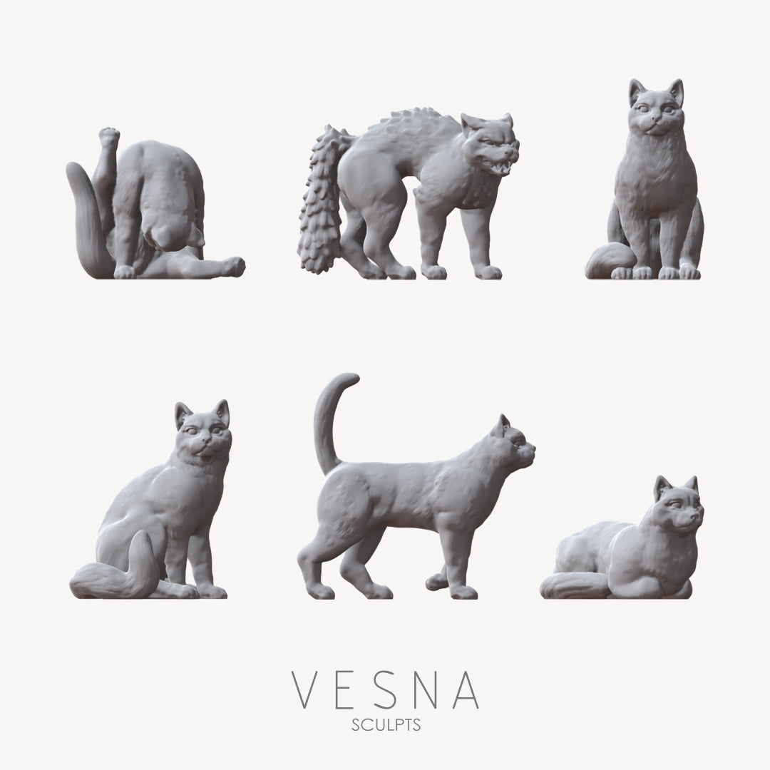 Cats ( 6 Pcs. )