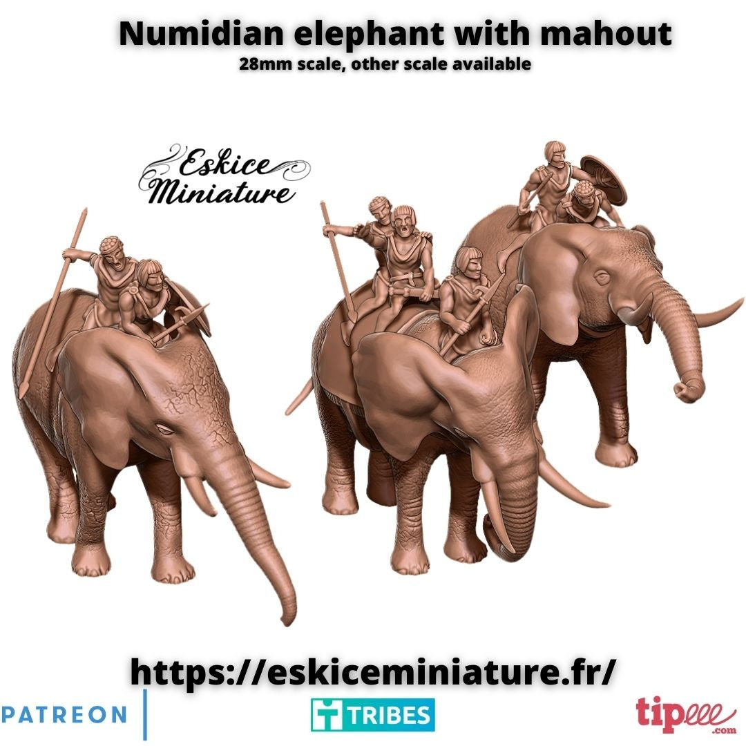 Elephants and their Numidian mahout