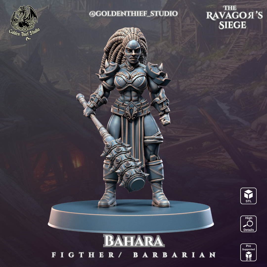 bahara Narbarian Fighter