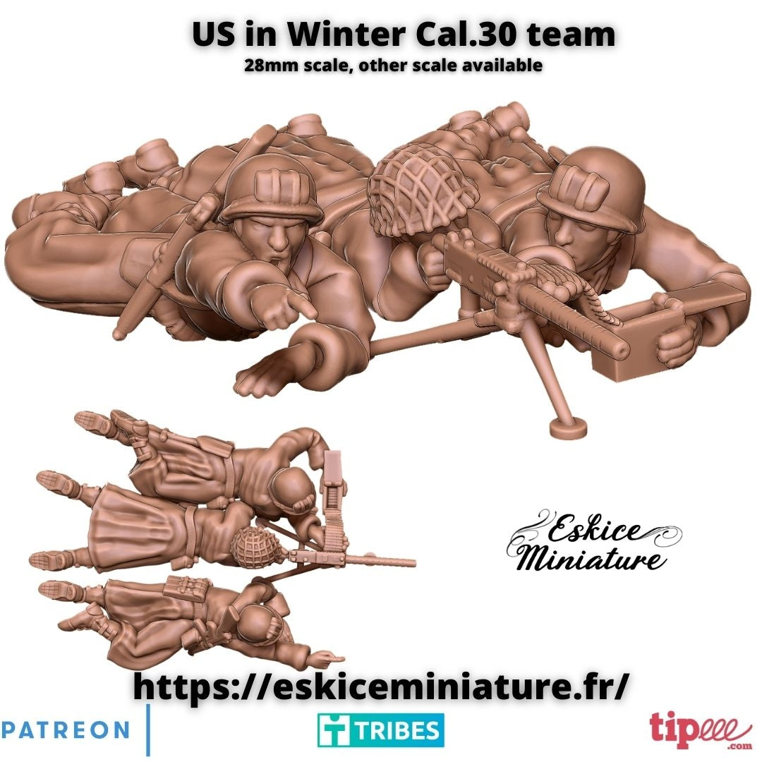 US Winter cal 30 ( 2 Miniaturen )