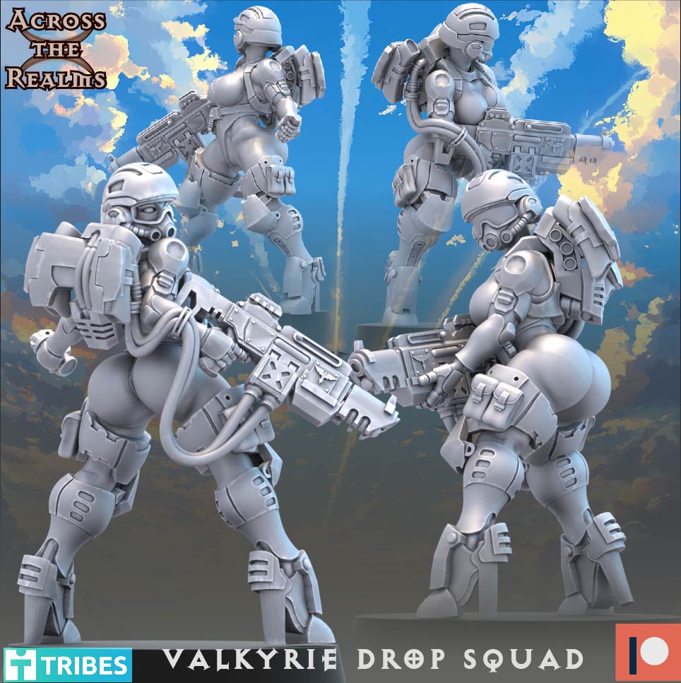 Valkyrie Drop Squad ( 13 Miniaturen )