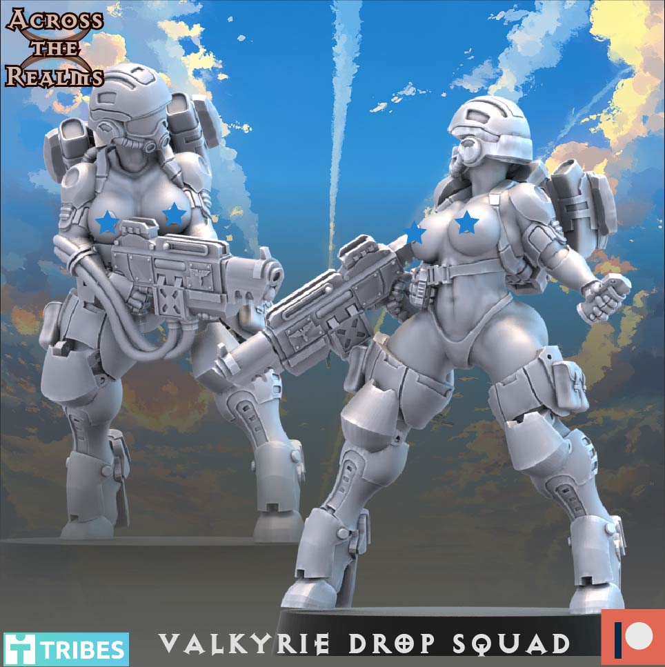 Valkyrie Drop Squad ( 13 Miniaturen )