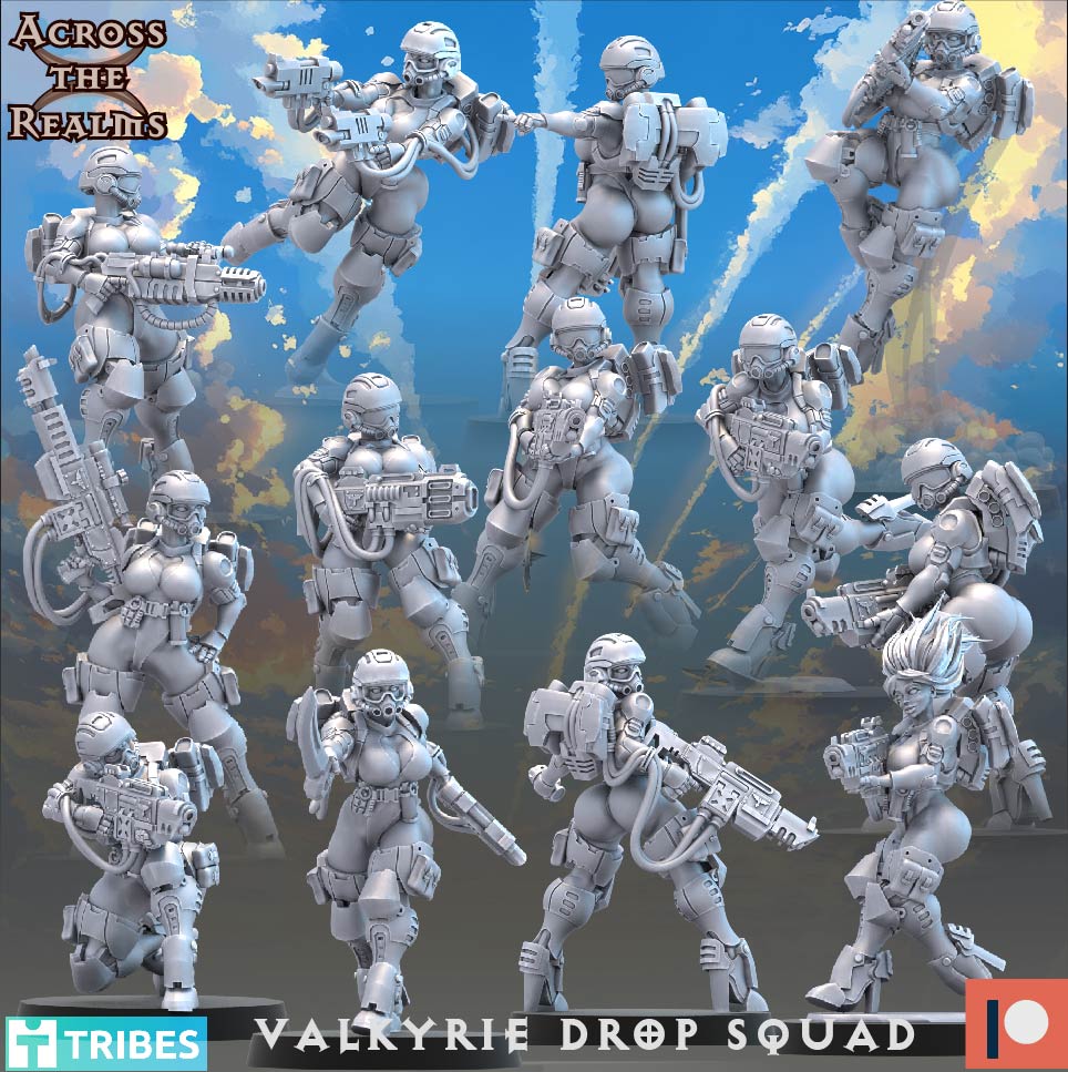Valkyrie Drop Squad ( 13 Miniaturen )