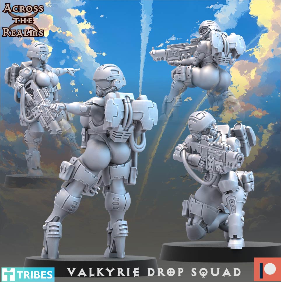 Valkyrie Drop Squad ( 13 Miniaturen )