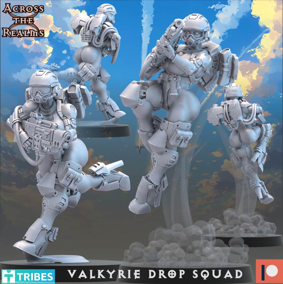 Valkyrie Drop Squad ( 13 Miniaturen )