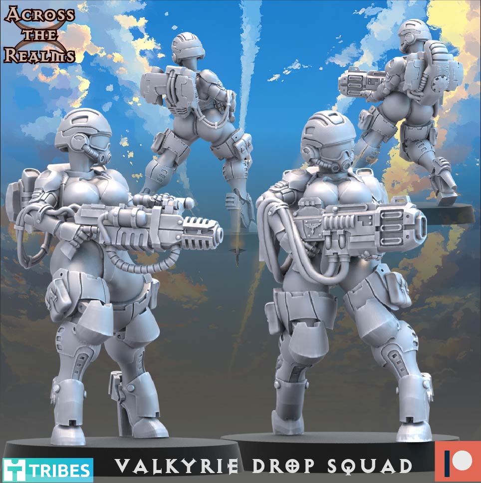 Valkyrie Drop Squad ( 13 Miniaturen )