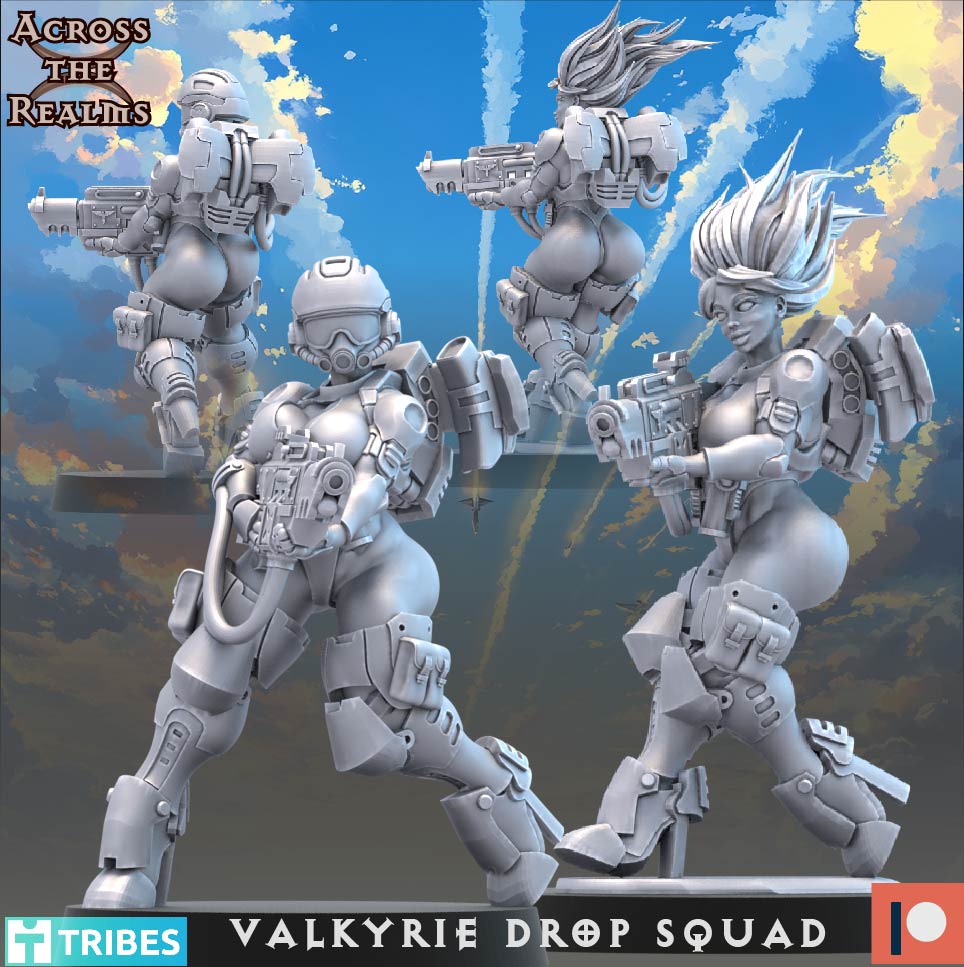 Valkyrie Drop Squad ( 13 Miniaturen )