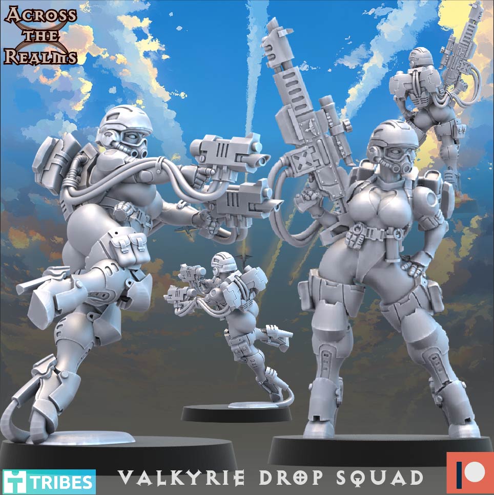 Valkyrie Drop Squad ( 13 Miniaturen )