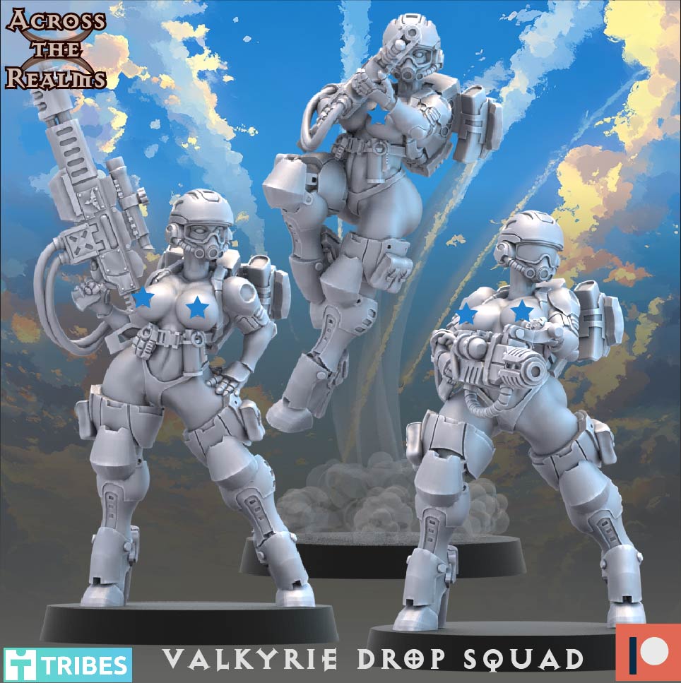 Valkyrie Drop Squad ( 13 Miniaturen )