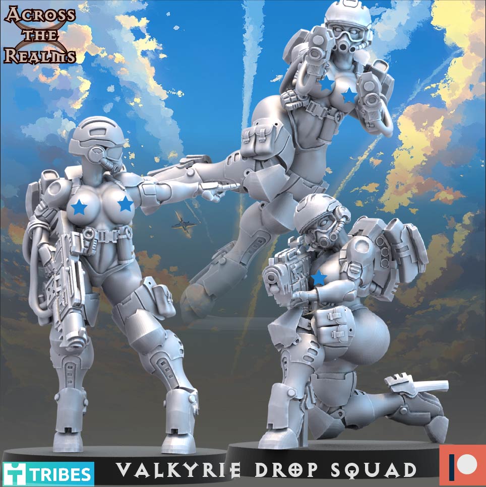 Valkyrie Drop Squad ( 13 Miniaturen )