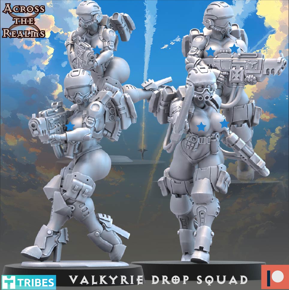Valkyrie Drop Squad ( 13 Miniaturen )