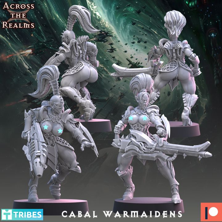 Cabal Warmaidens ( 12 Miniaturen )