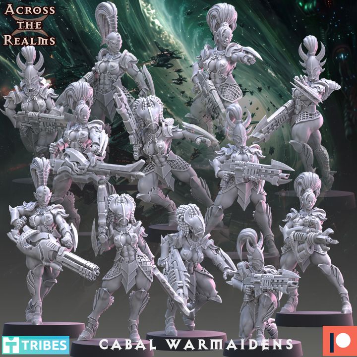 Cabal Warmaidens ( 12 Miniaturen )