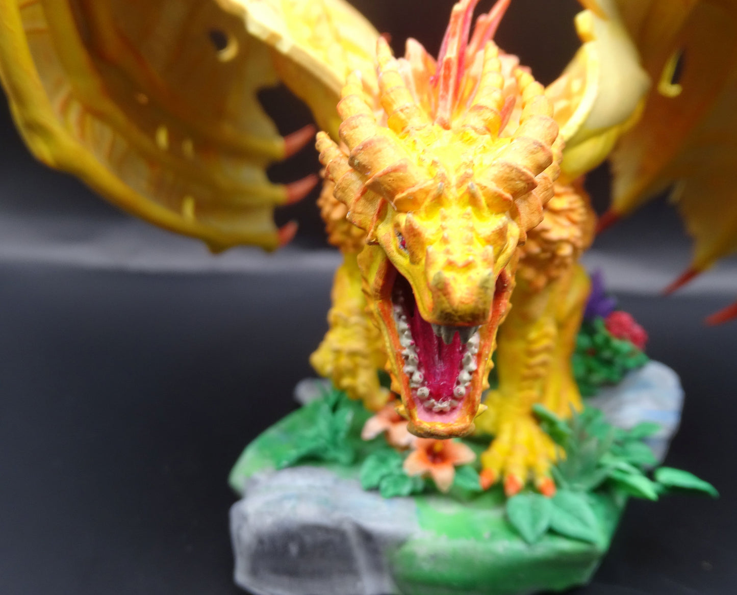 Young Red Dragon