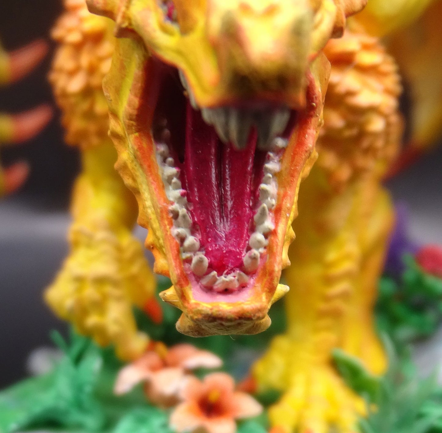 Young Red Dragon