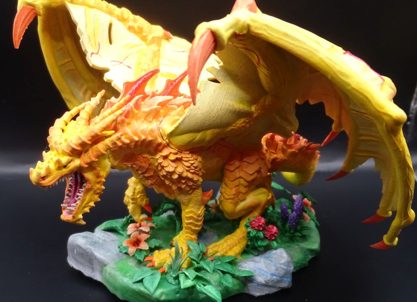 Young Red Dragon