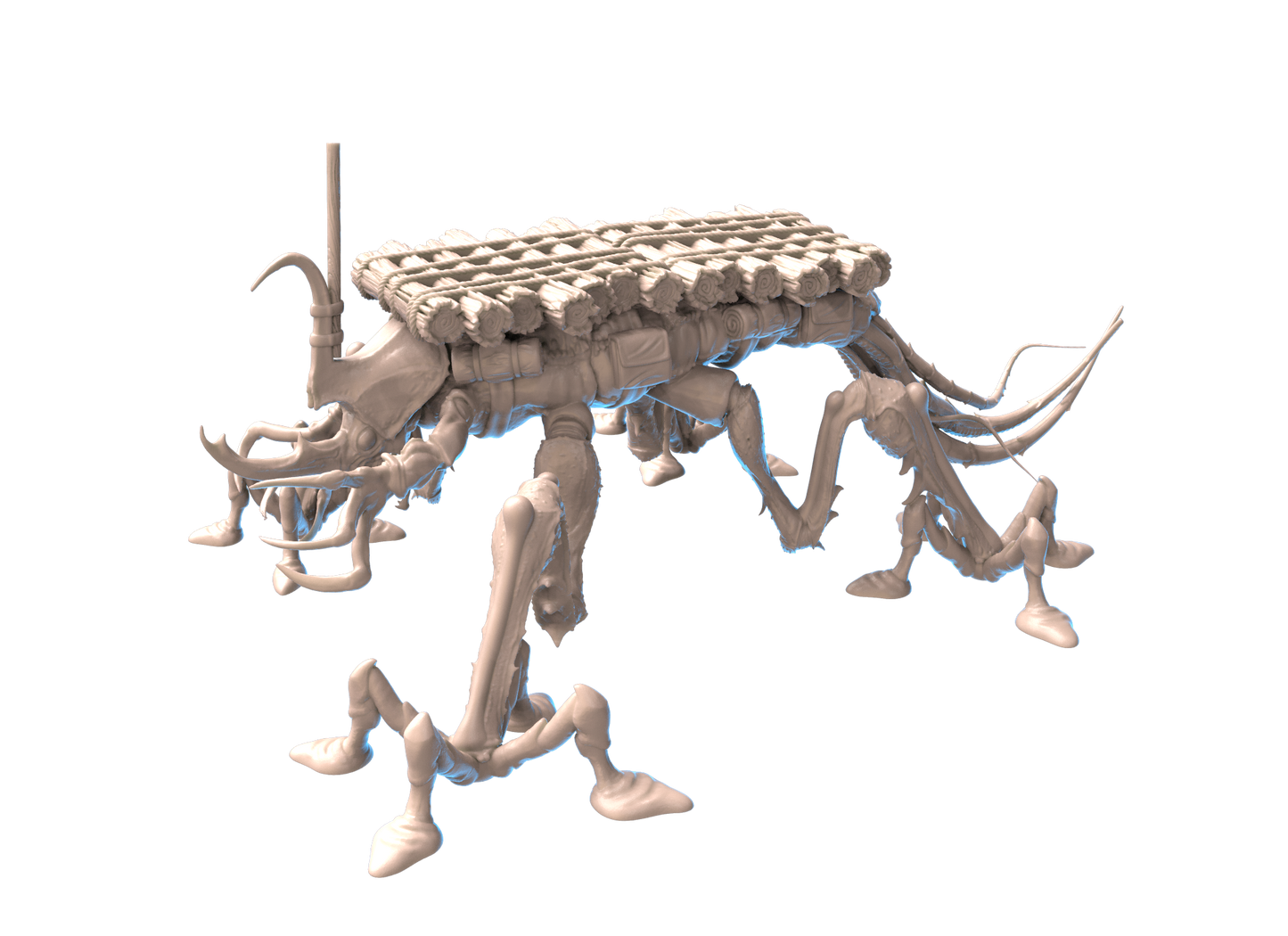 Aquapatra Mount