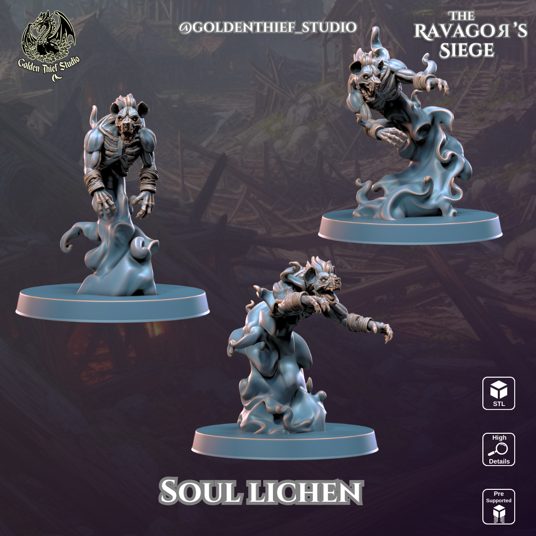 Soul Lichen
