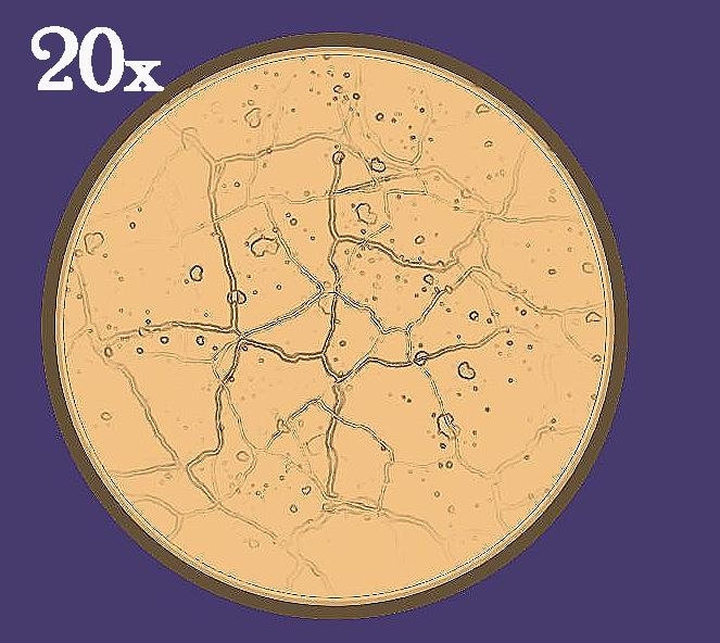 20x 25mm Erde-Rundbase