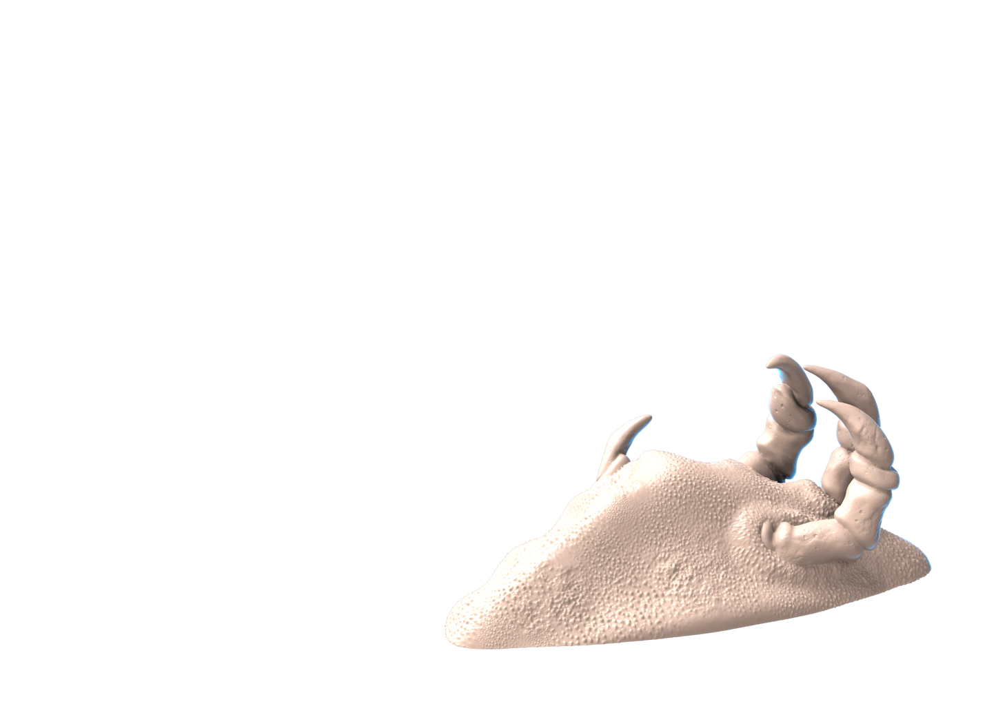 dragon remains