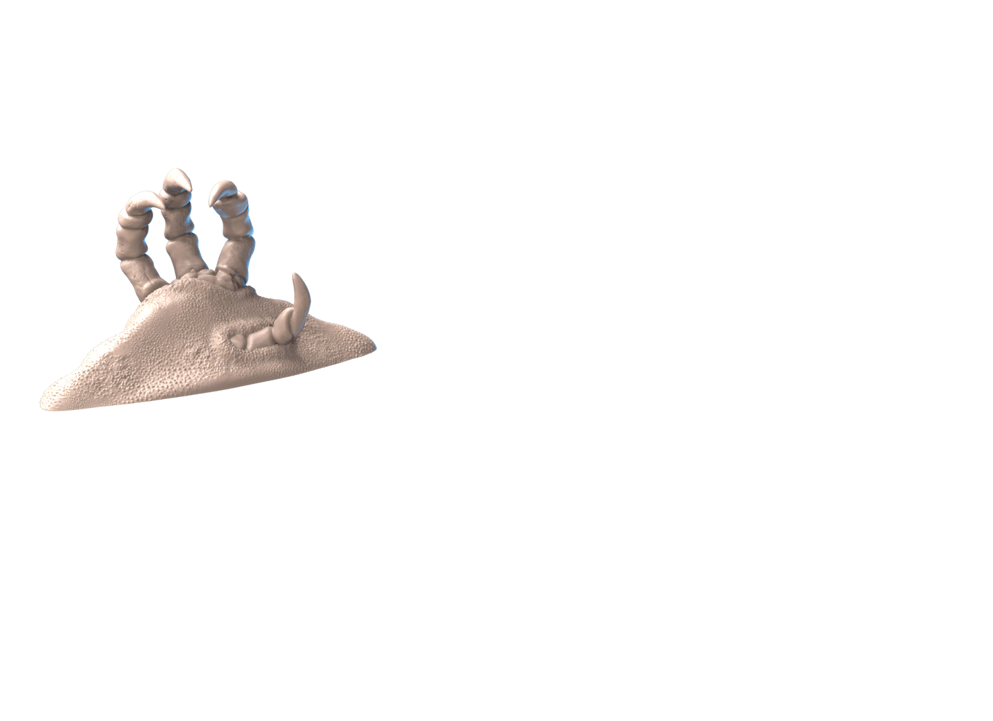 dragon remains