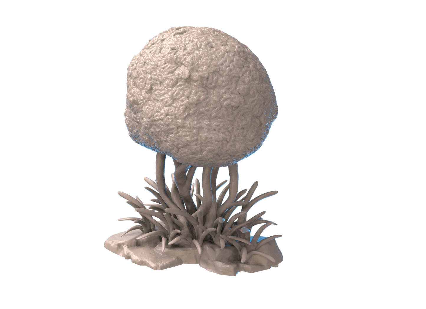 wild boxwood small ( 2 Pcs. )