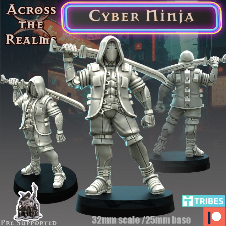 Cyber Ninja