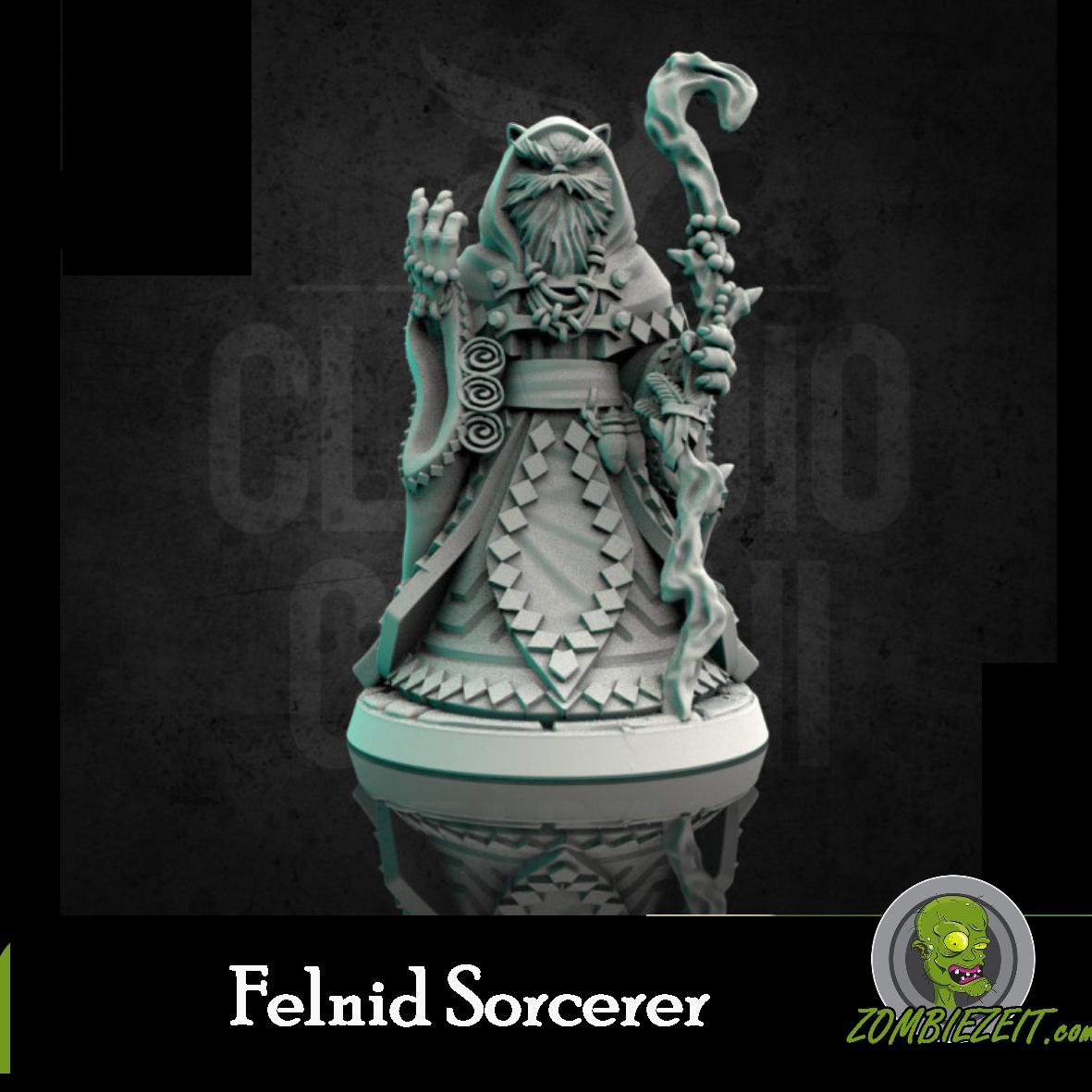 Felnid Sorcerer