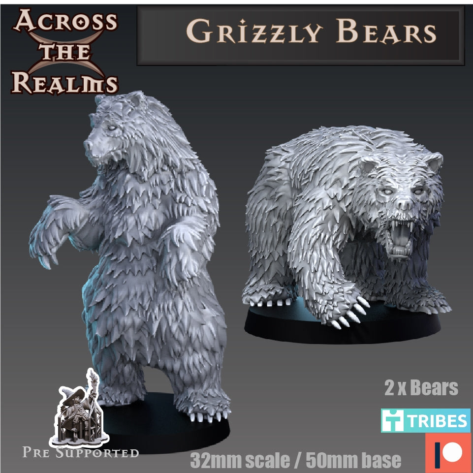 Grizzly Bär auf allen 4