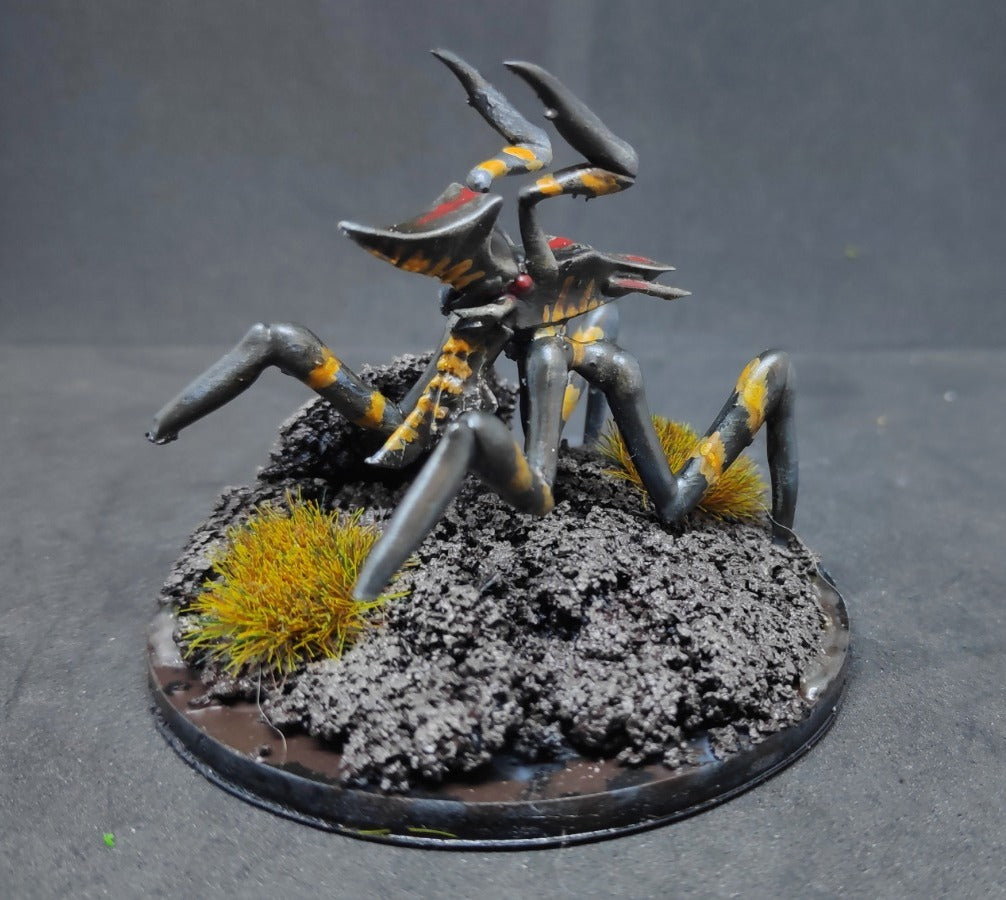 Arachnoid 3