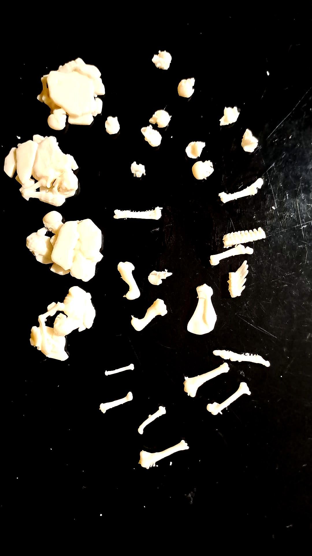Bones ( 30 Pcs )
