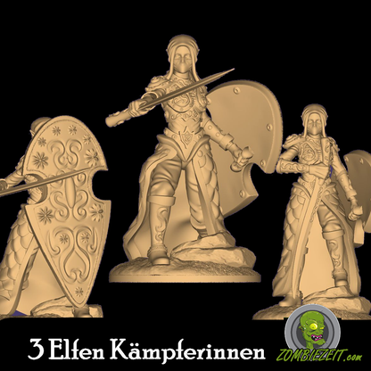 Elfen Kämpferin mit Schild Set