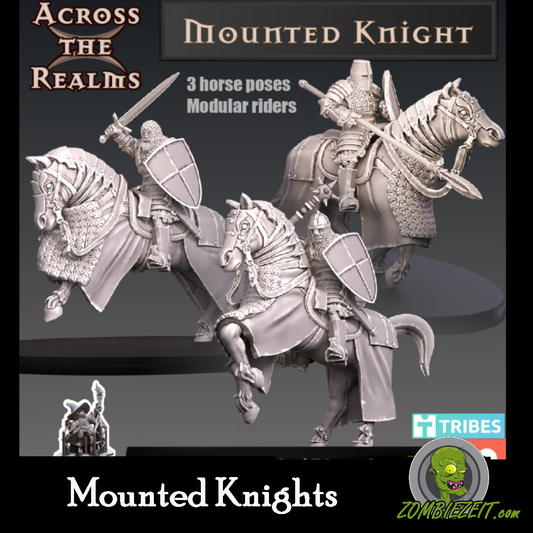Mounted Knights ( 3 Miniaturen )