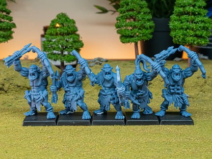 CAVE ORCS Core Unit( 10 Miniaturen )