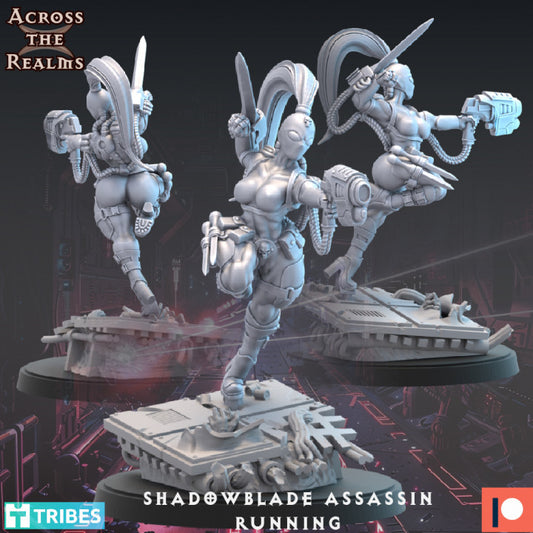 Shadowblade Assassin - Running