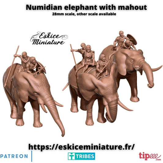 Elephants and their Numidian mahout