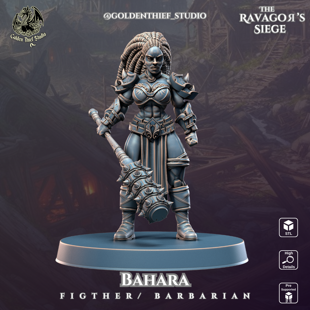 bahara  Narbarian Fighter