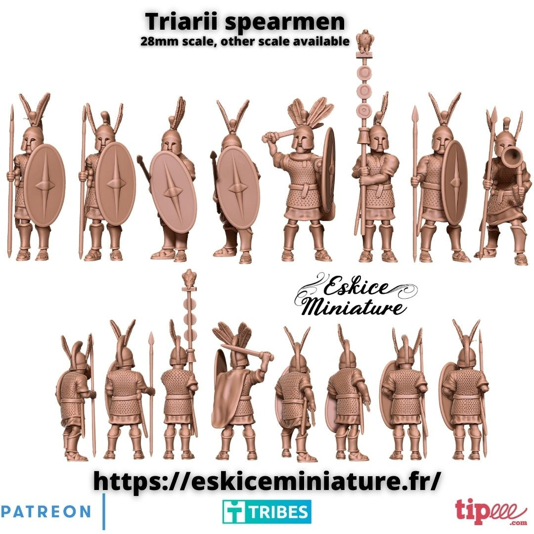 Triarii Spearmen ( 8 Miniaturen )