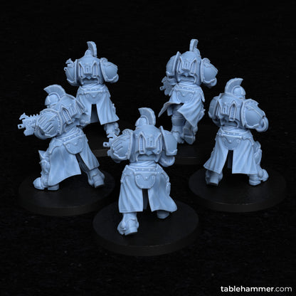 Questors (Modular set: Ordo Invictorix Core Units)( 5 Miniaturen )