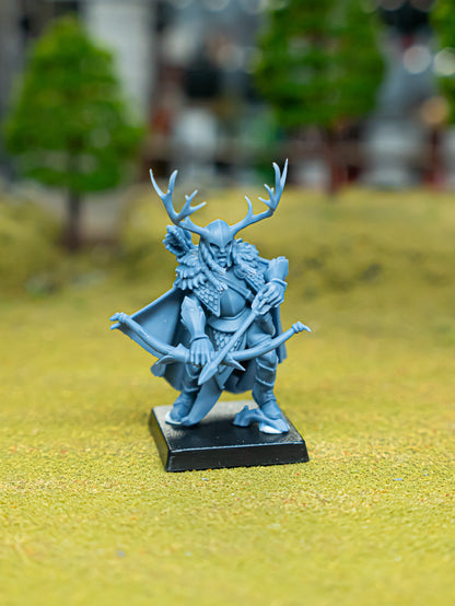Feral Elf Highborn ( 2 Miniaturen )