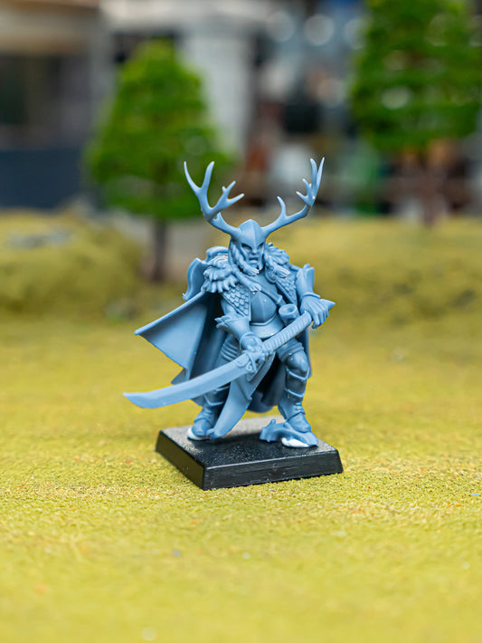 Feral Elf Highborn ( 2 Miniaturen )