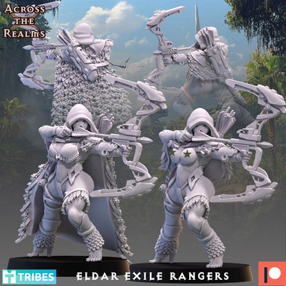 Exile Rangers ( 4 Miniaturen )