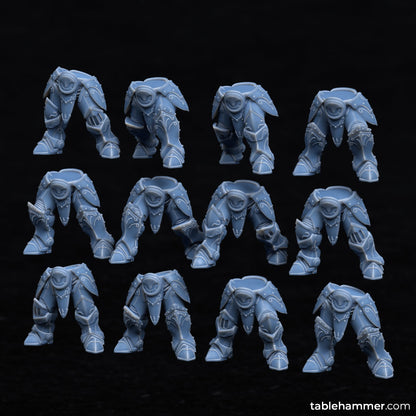 Invictorix Guard ( 12 Miniaturen ) modular