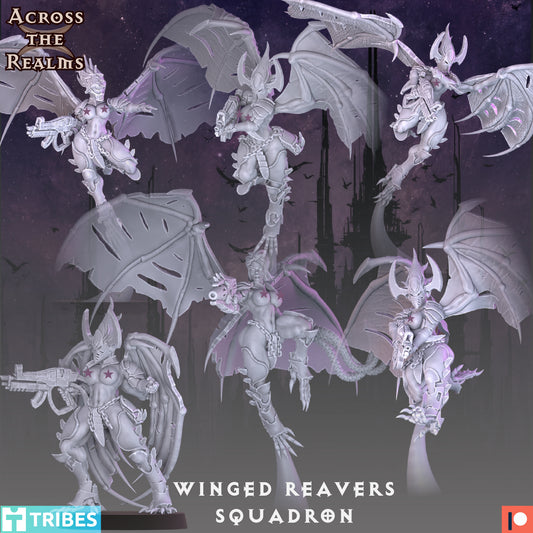 Winged Reavers Squadron ( 6 Miniaturen )